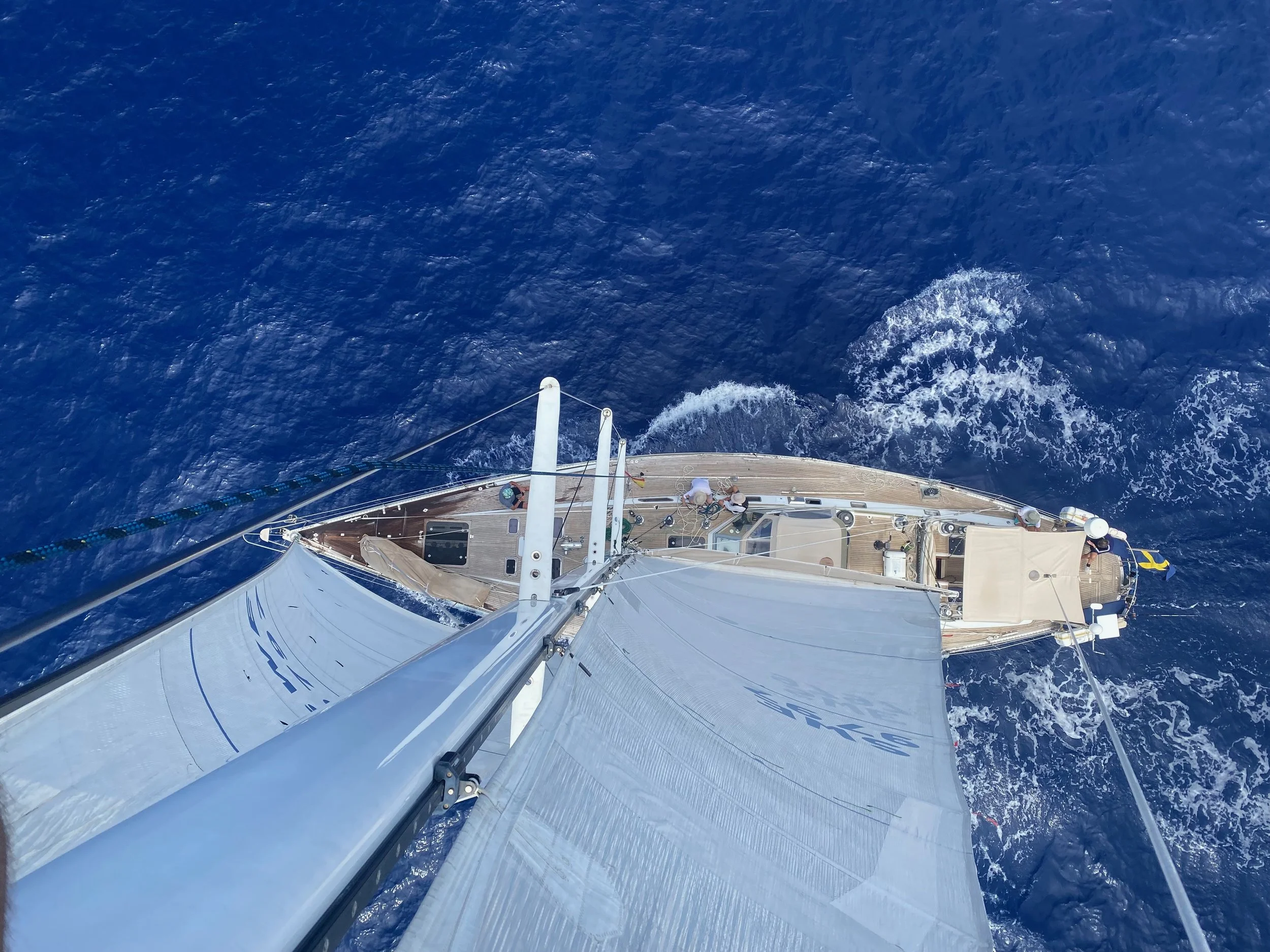 #2. ADRIENNE II | Brazil To Gran Canaria | Life At Sea