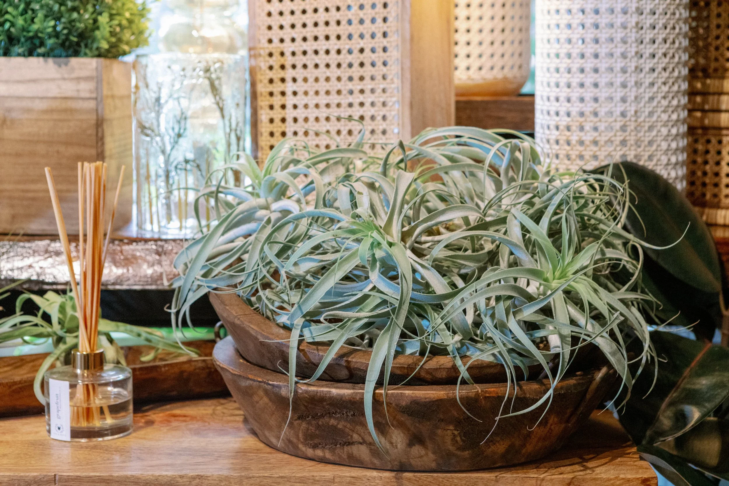 Lisa-Staff-Photography- -1411.jpg