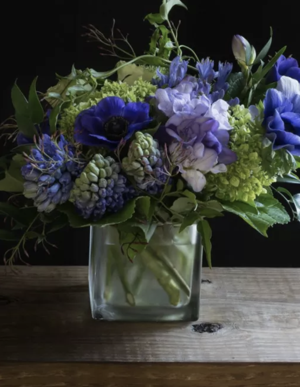 Screenshot 2023-02-08 at 10.22.58 AM.png