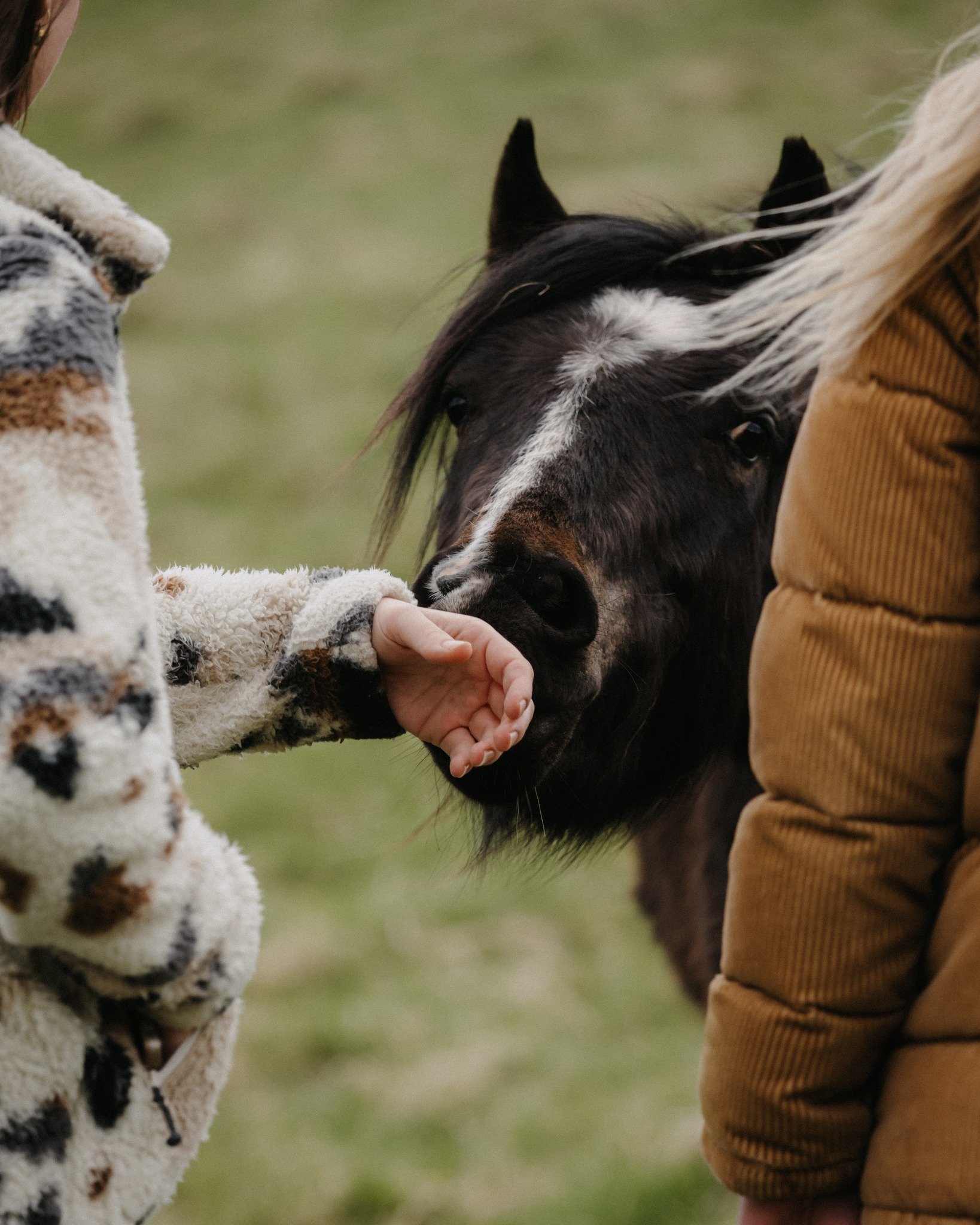 If you can peel yourself away from the blissful calm of your cabin, a world of wildlife, wilderness, and wonder awaits just outside. 🍃
Adventure awaits in every rustle, chirp, and distant hoofbeat - let nature be your guide. 🐗
#naturelovers #cabins