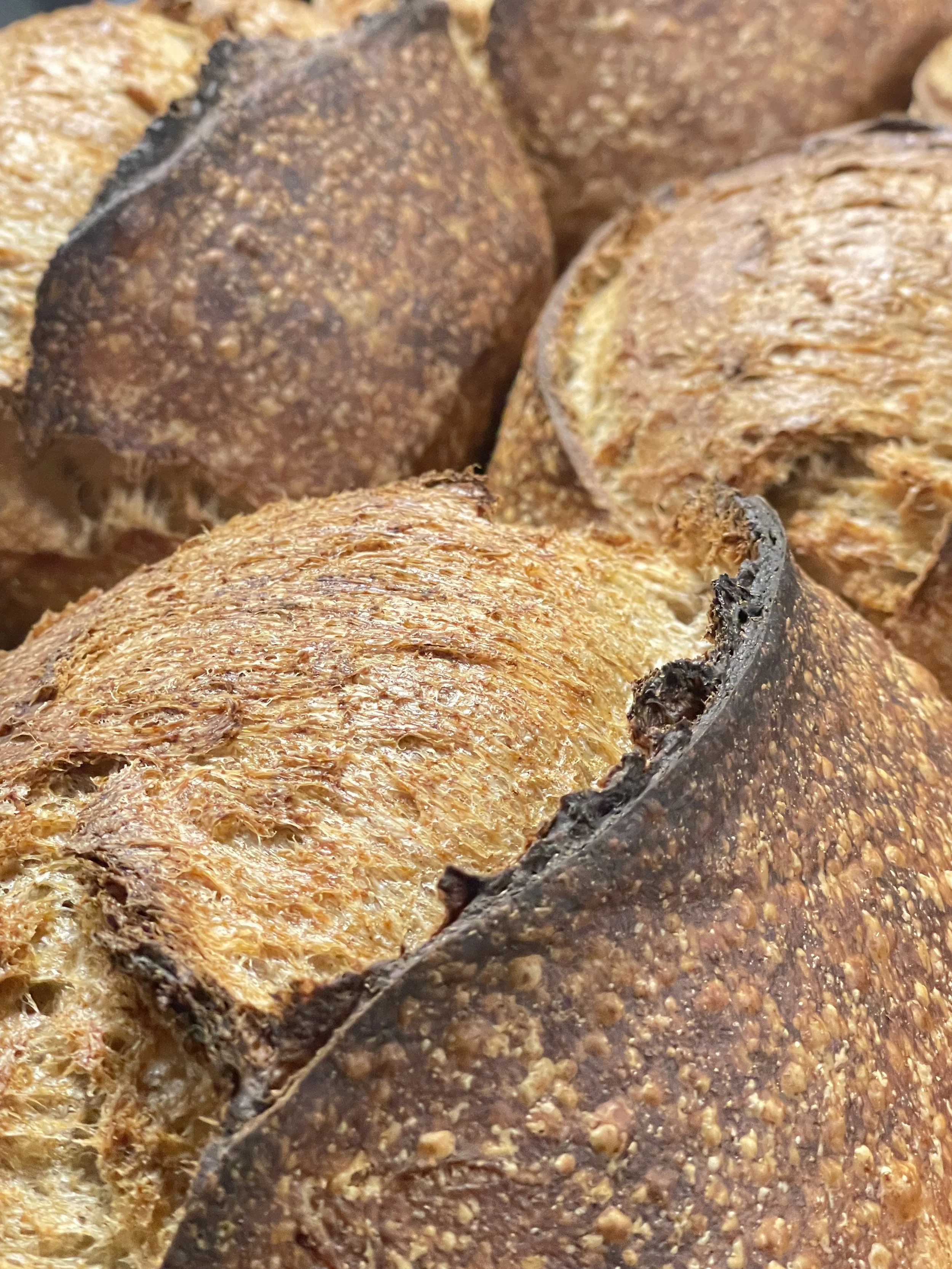 Big Country Sourdough