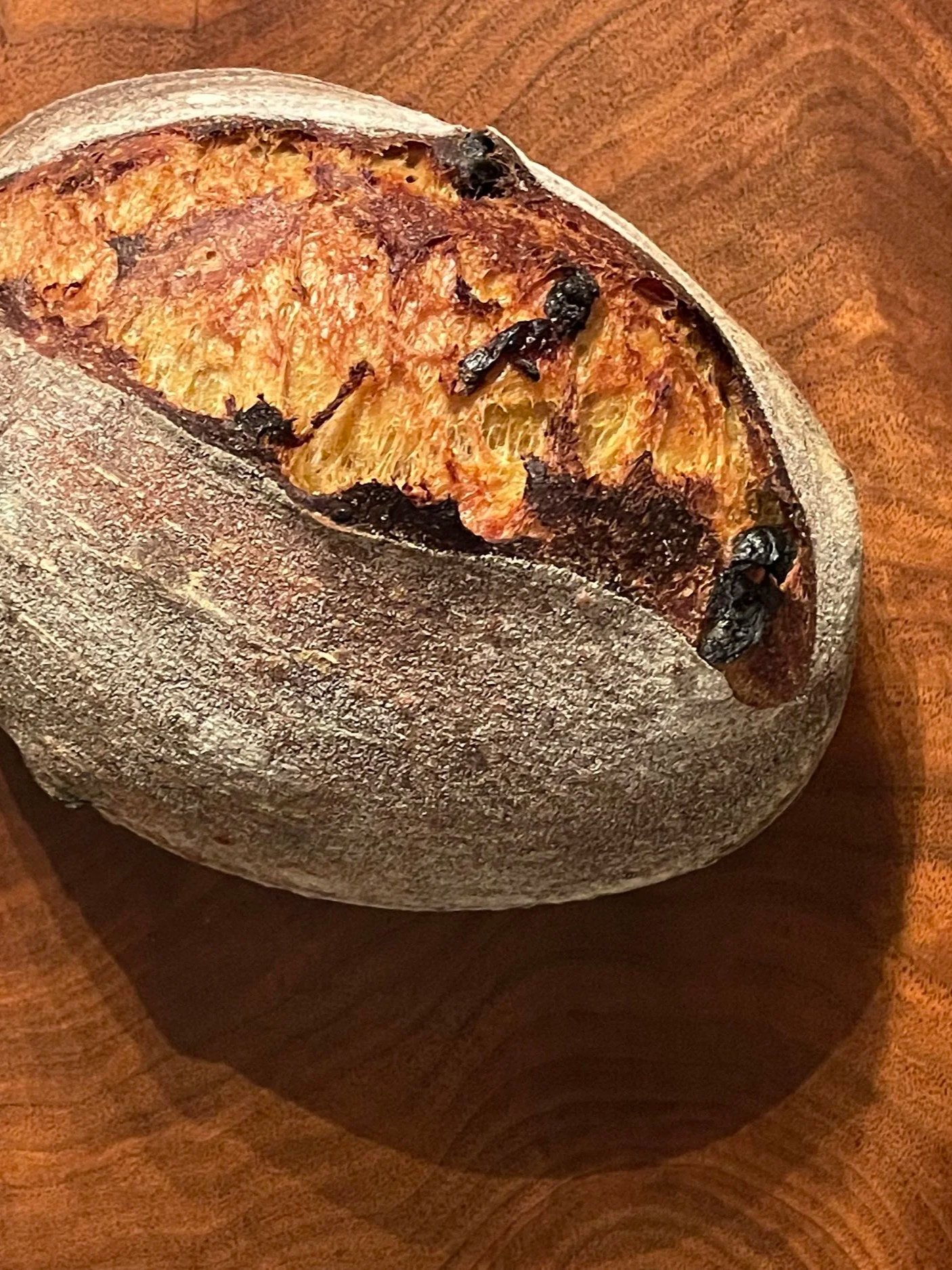 Roasted Butternut Squash X Cherry Sourdough