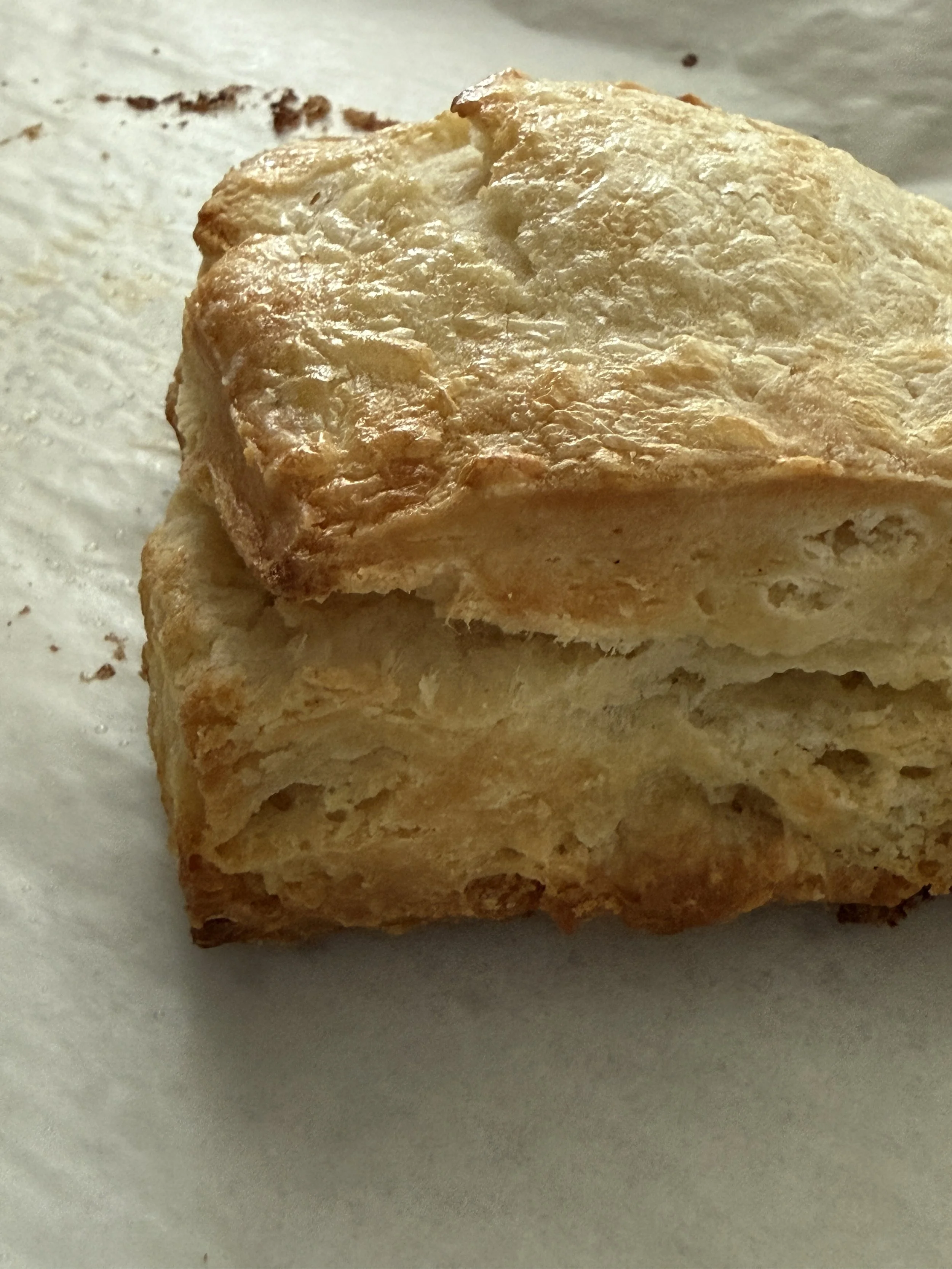 Sweet Cream Sourdough Biscuit / 4-Pack