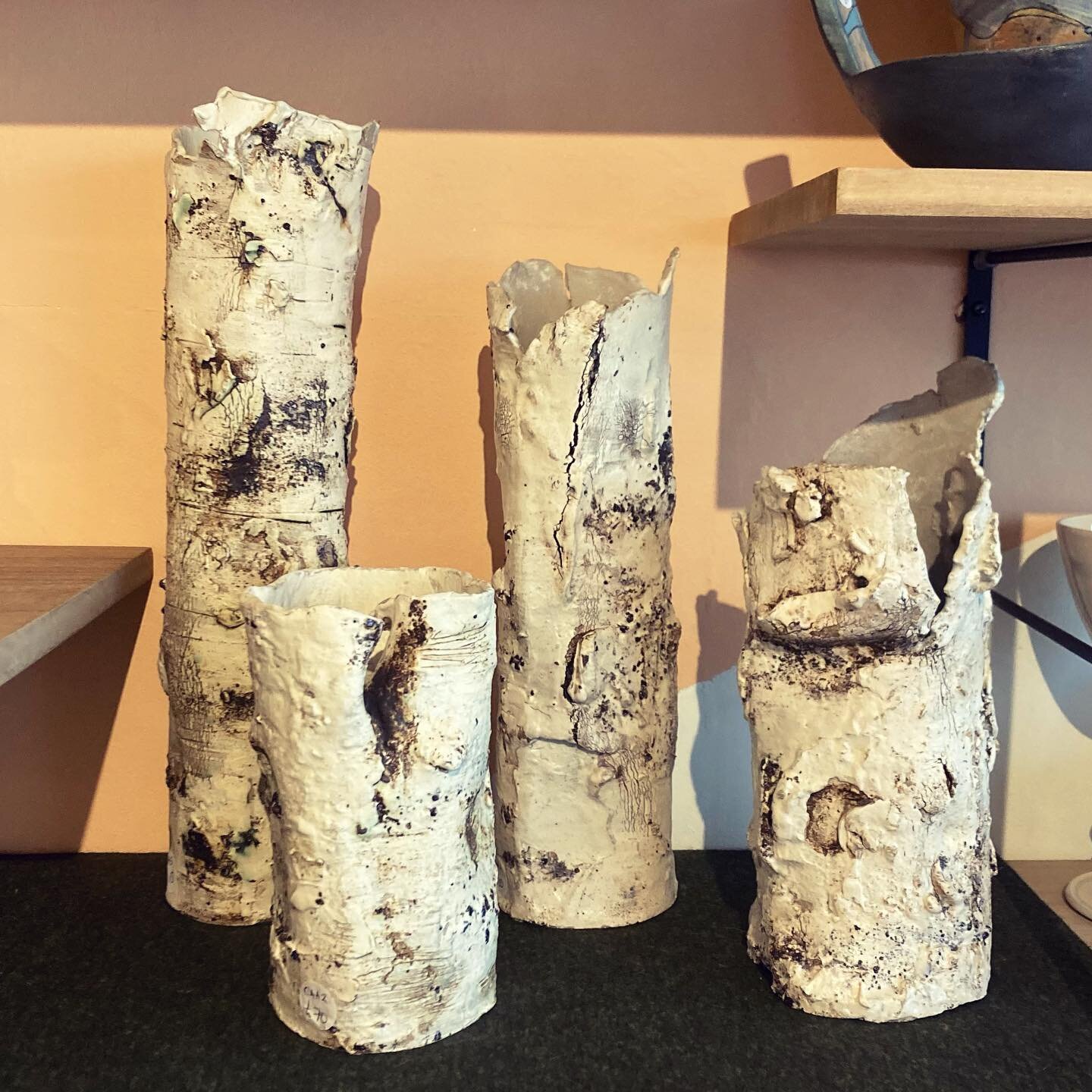 New Silver Birch @artisanchagford and wall vases @florist_from_the_forest Head to the beautiful Dartmoor town  of Chagford this Easter. #dartmoor #chagford #visitdevon #silver #birch #ceramictrees @westcountrypotters @devonopenstudios #madeindevon #u