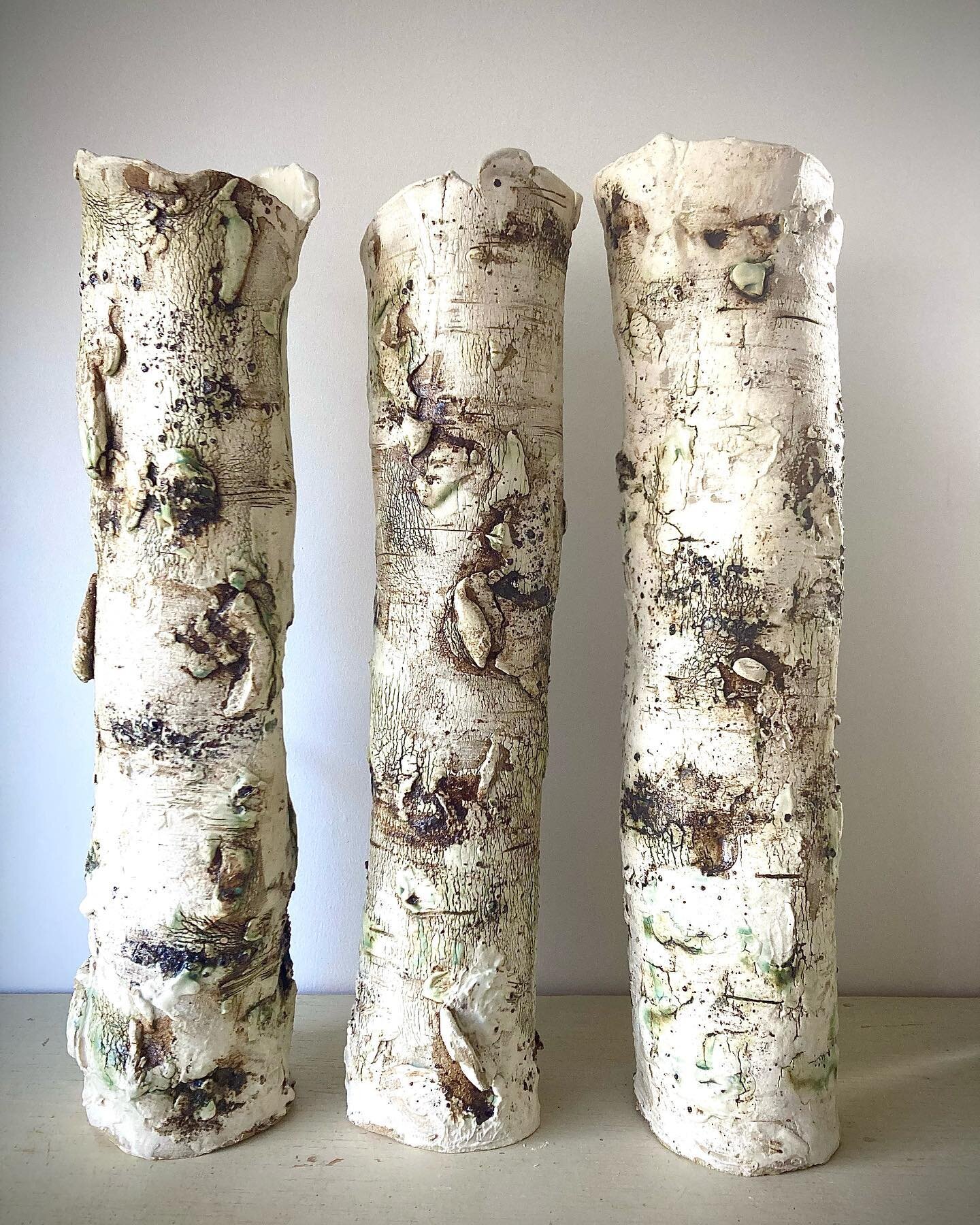 Trio of tall Silver Birch- just out of my new kiln. #silverbirch #tallceramicvase #clay #devonpotter @devon_artist_network  #handmadeindevon @totnespotters #claytexture #uniqueceramics #visitdevon