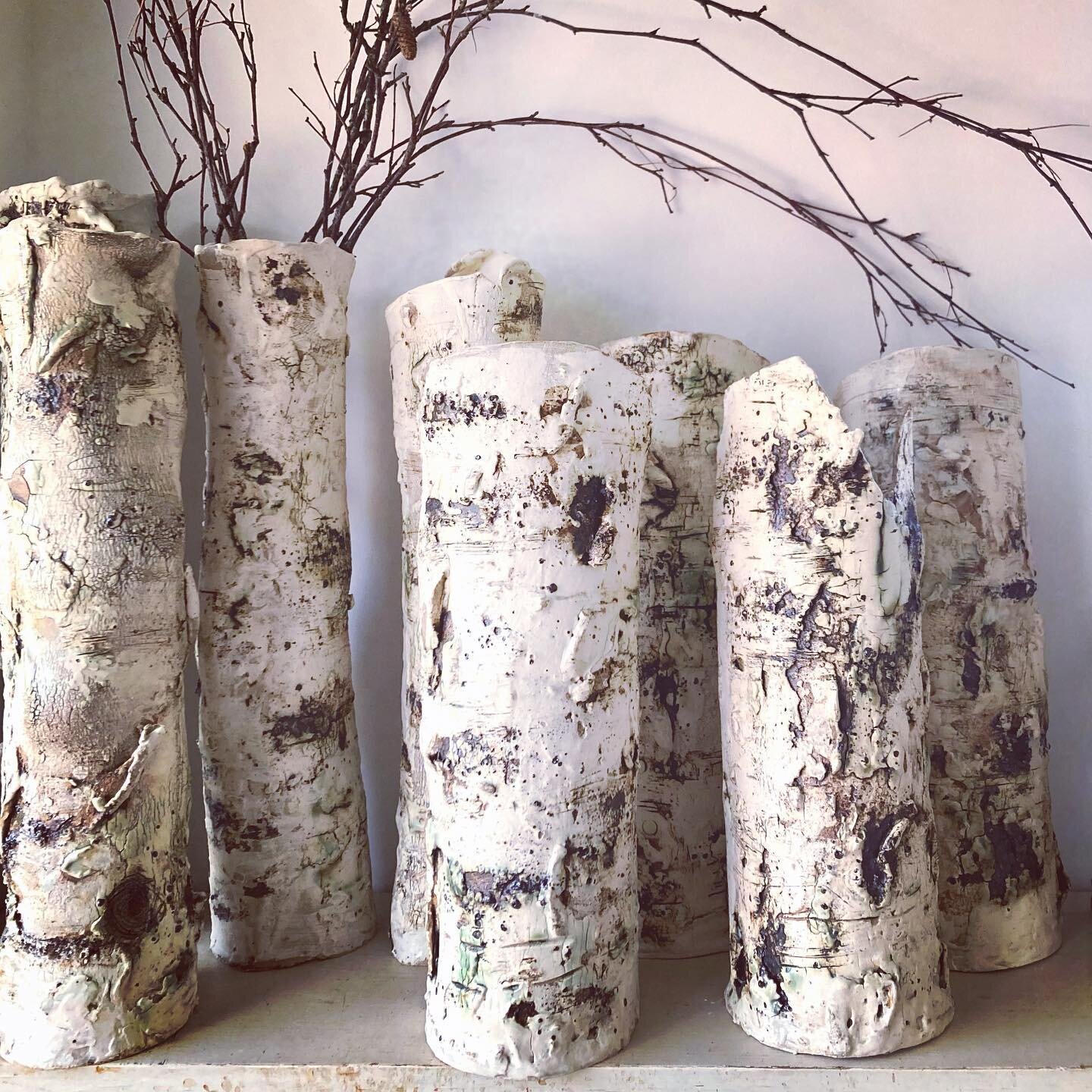 Silver Birch @ngsdevon middle well garden, near Totnes Sunday 7th May TQ9 6RL - pottery stall with these beauties plus more pottery @totnespotters Stunning 2acre garden and woodland walks  next to vineyard @sandridge_barton #bankholidayweekend #whats