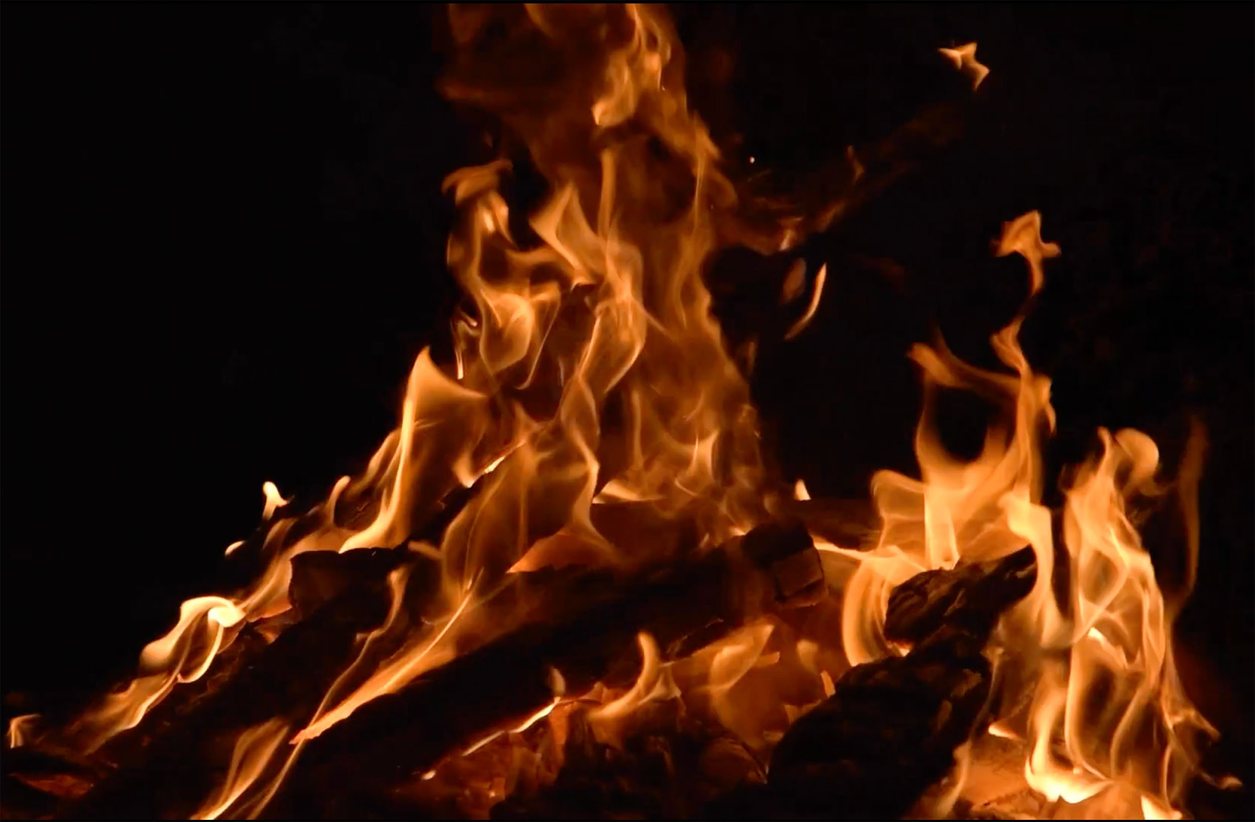 Grund, 
(Abschied von Mörikestrasse, Abschied von Rathenau-Hallen)
Still from video