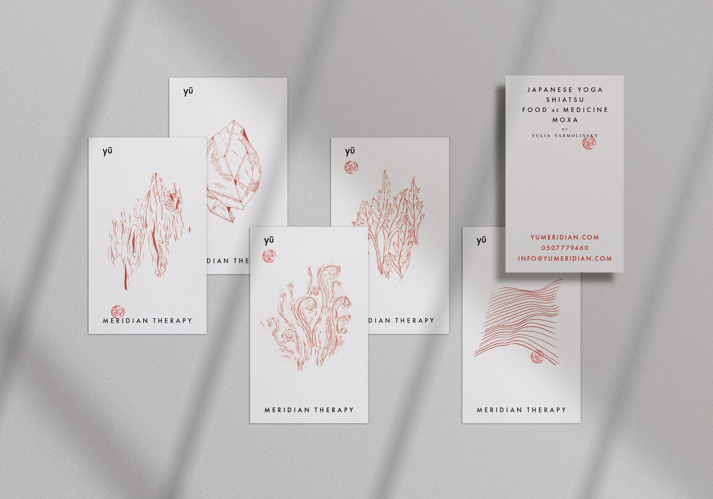 Yu Meridian Therapy cards.jpg