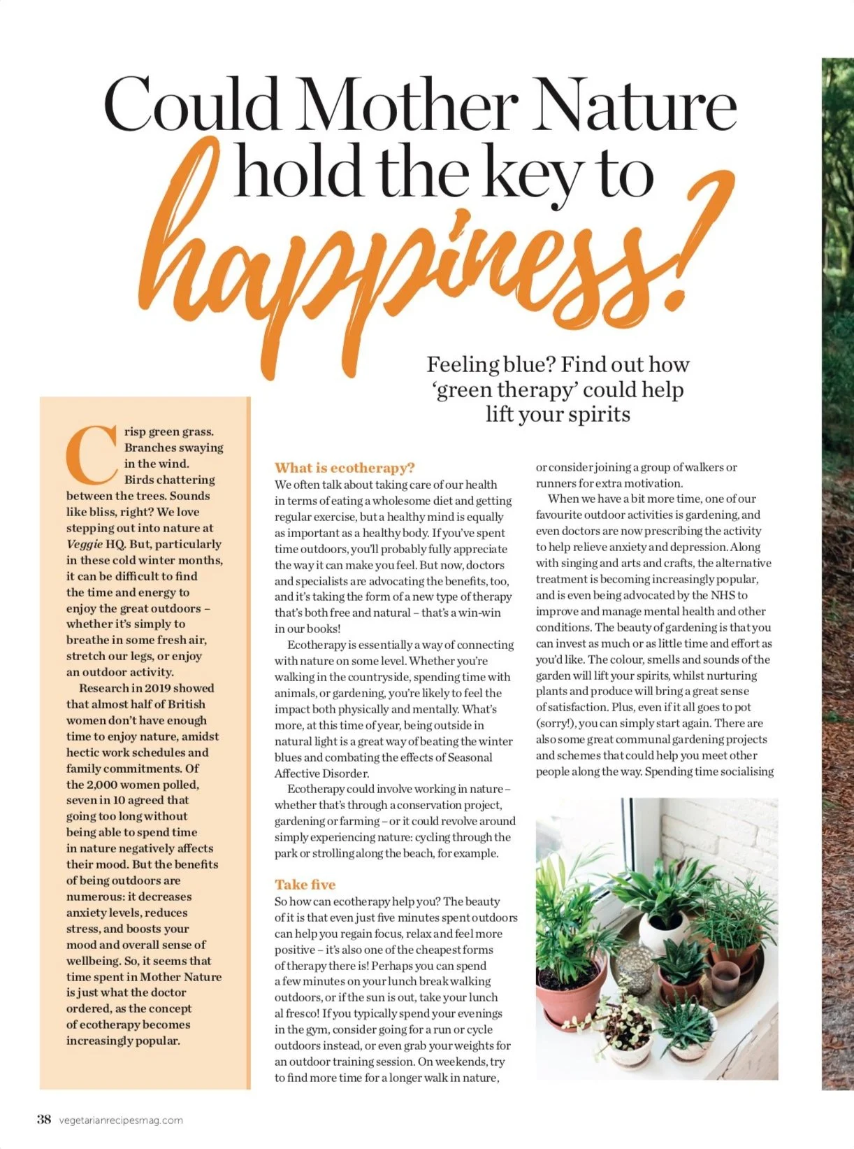 How+green+therapy+can+improve+our+mental+health+and+wellbeing.jpg