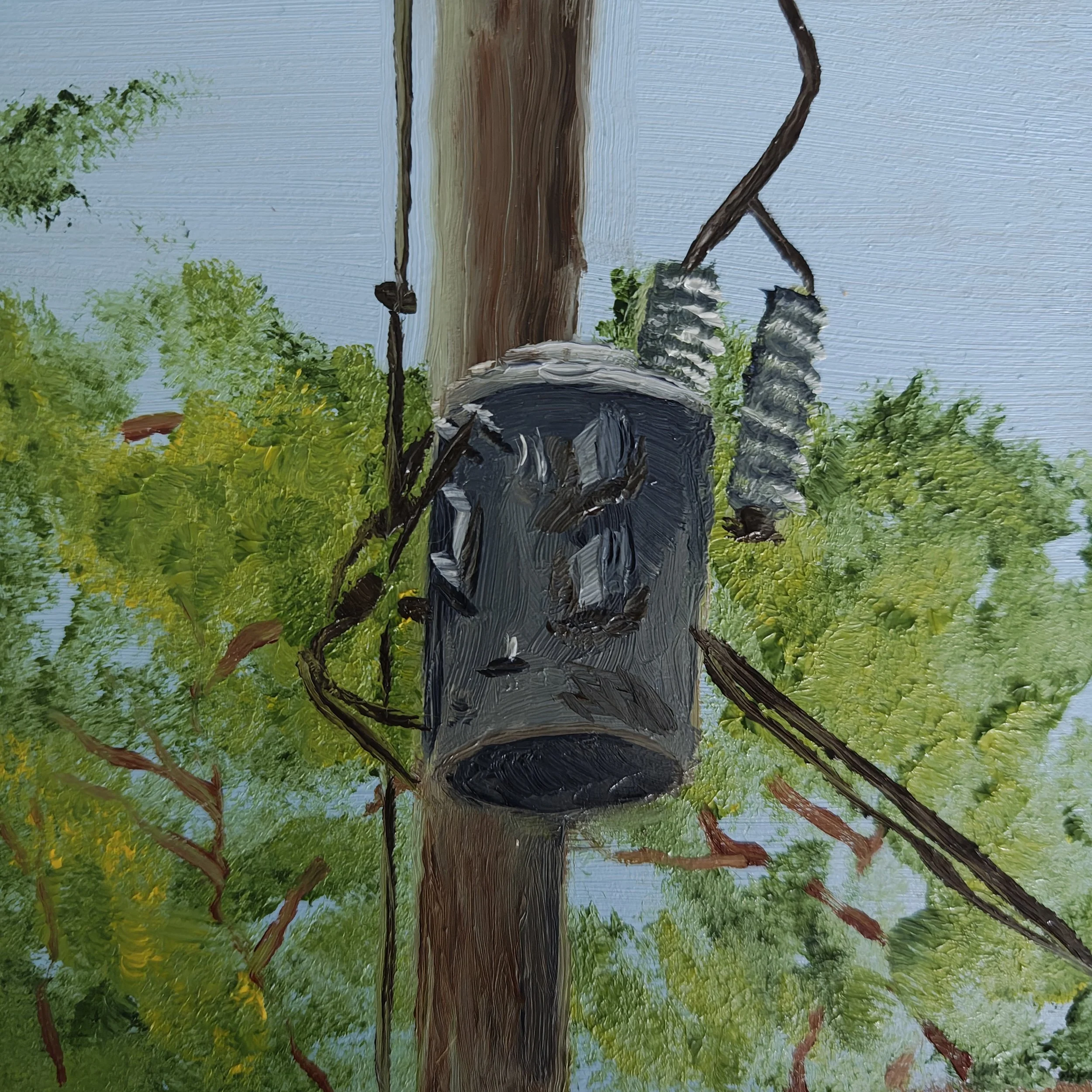 Untitled - Plein Air - 2026 - 4x4 Oil on board 