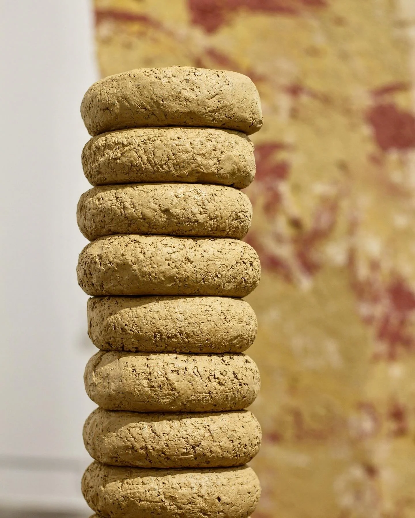 Rings of raw unfired clay, representing the rings of an Ash tree, in time these clay rings dry, crack, disintegrate and fall down, a temporary sculpture, time sensitive, not made to last. #rawclay #unfiredclay #claysculpture #mabathspa  #emergebathsp