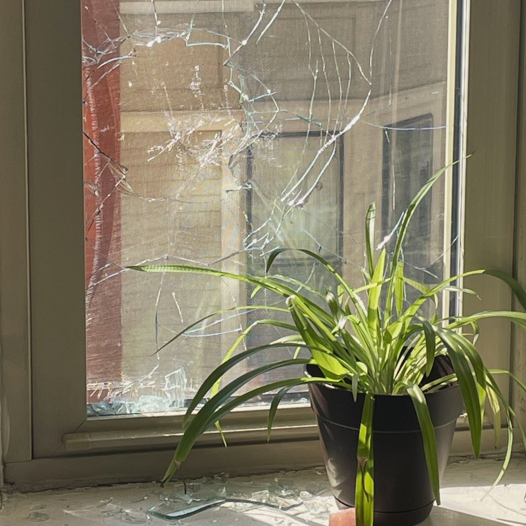 Tips for Managing Acute Trauma