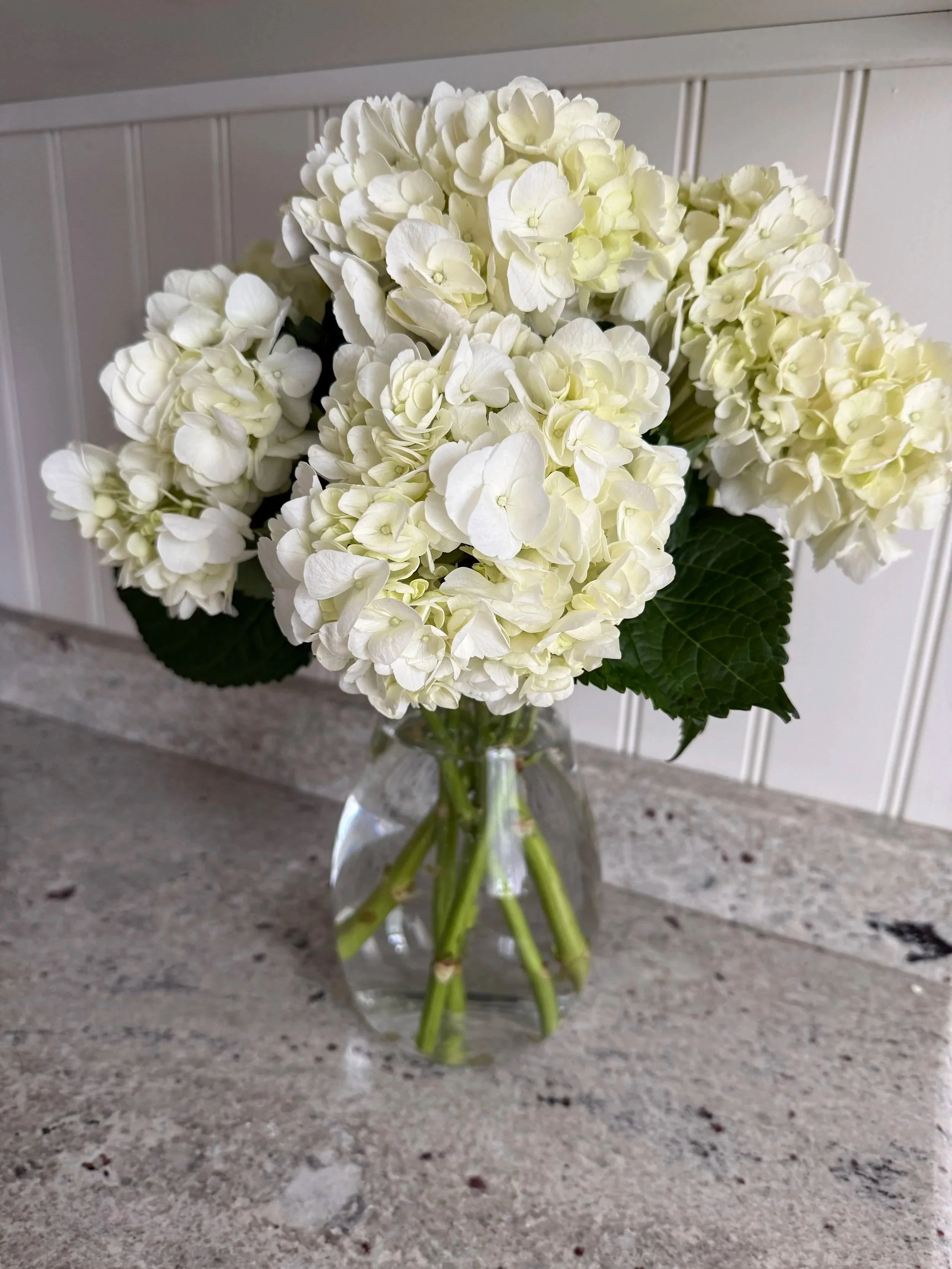 Did you know I used to work at a flower shop?