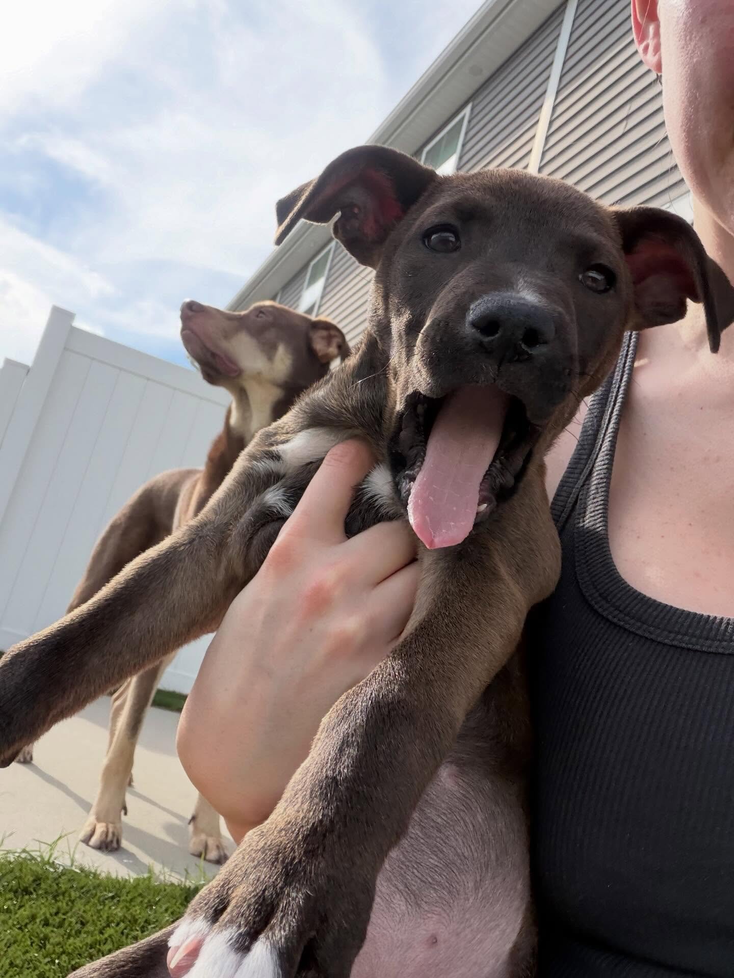 Farmers Market @ Bohemian Bull 