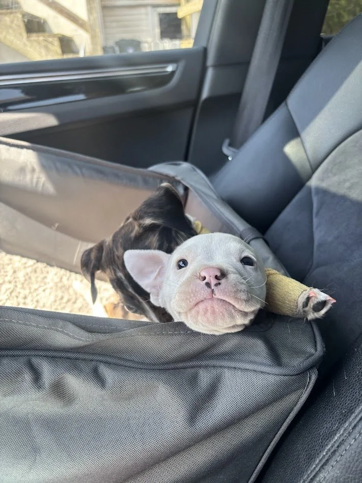 Craft Market at Estuary Brewery 