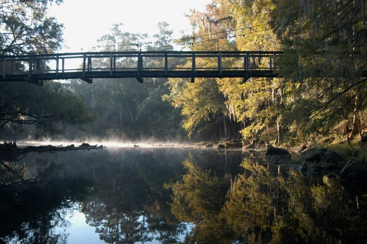 Shaded Sanctuaries: Nature Trails Worth Exploring near Lake City, FL