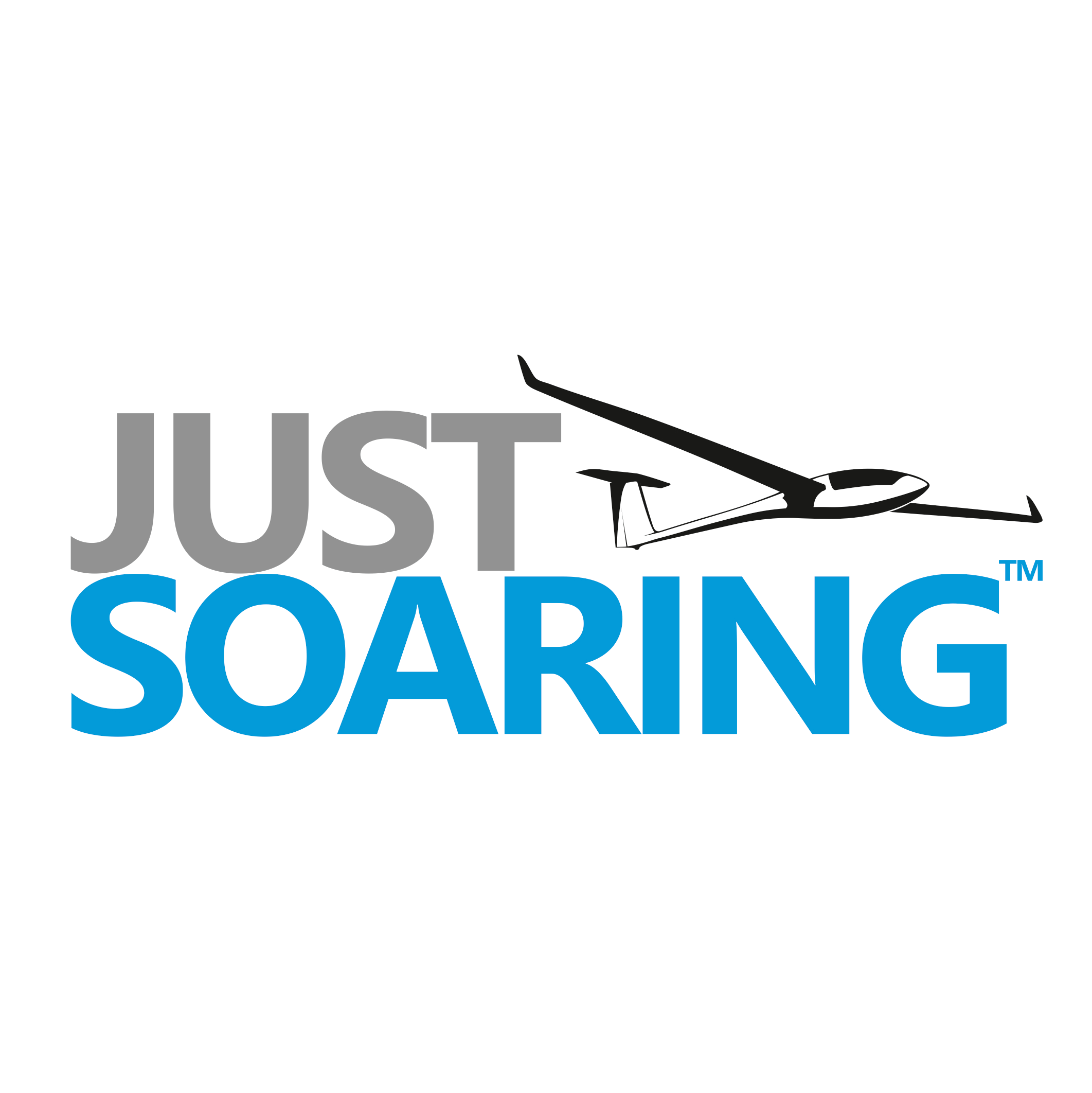 JustSoaringSquare2.png