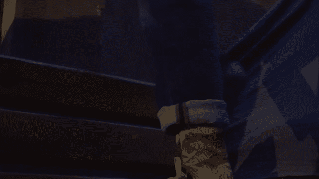 Tiger Blanket-low.gif