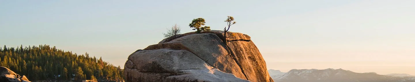 Relinquishing Control to God