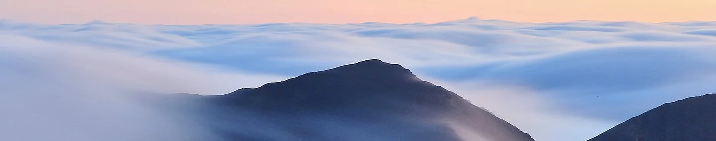 Plans and Providence