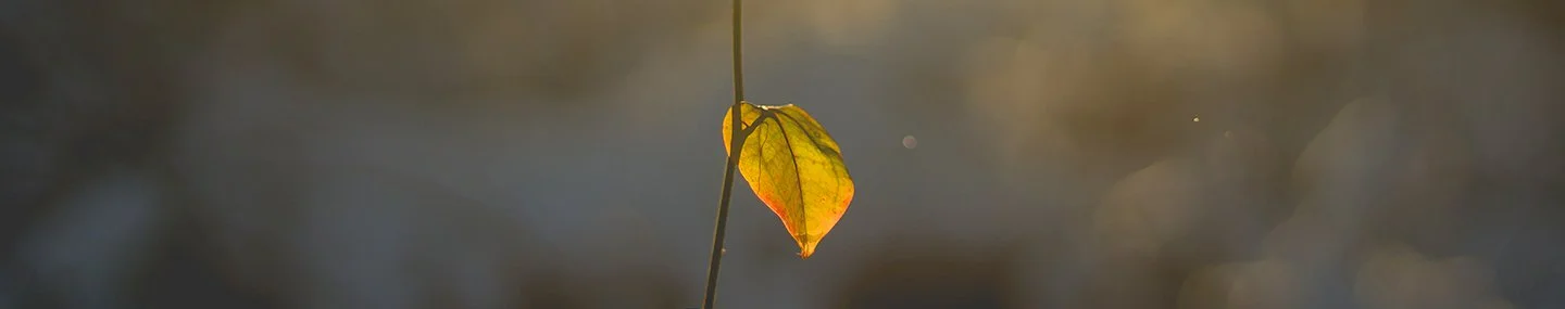 The Story Isn’t Over