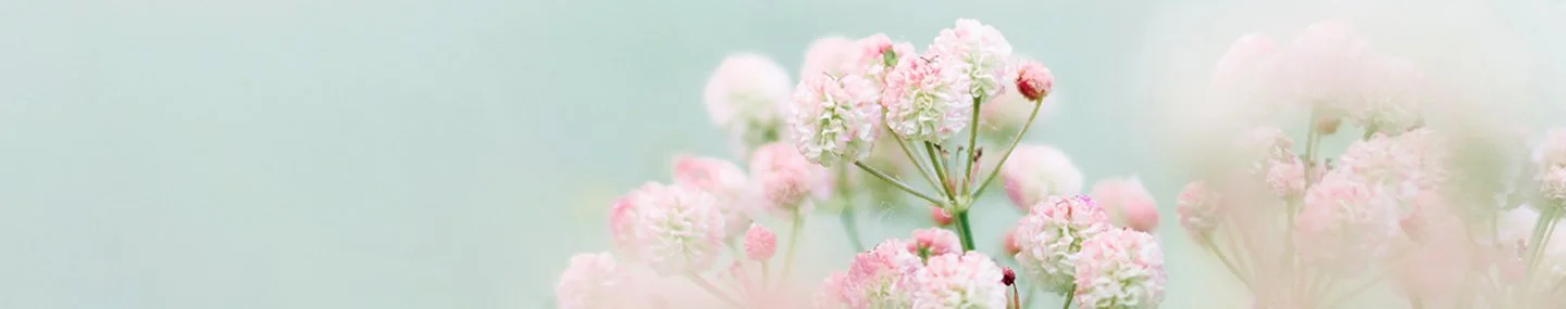 God’s Gentle Grace