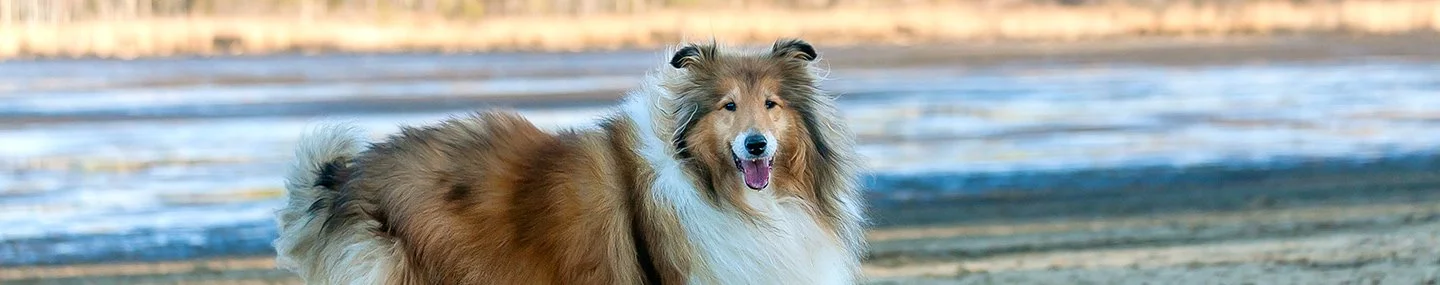 Our Heart’s True Home