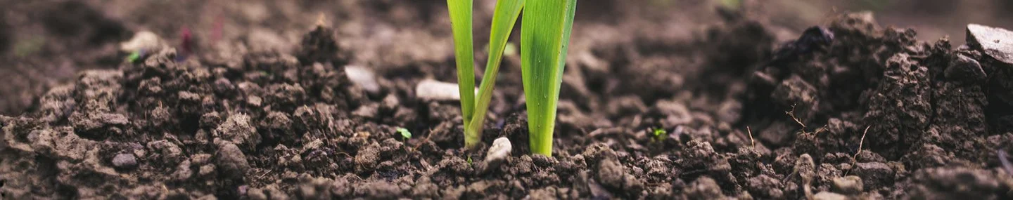 Self-Control in God’s Strength