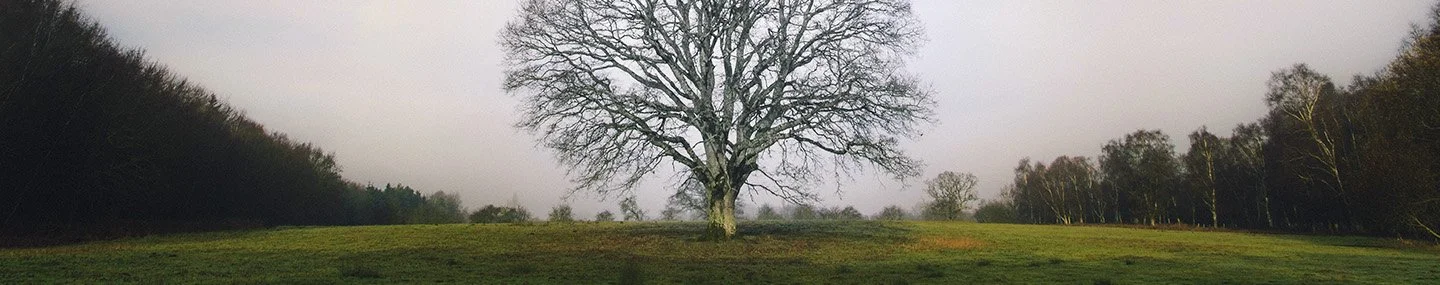 Your Part, God’s Part