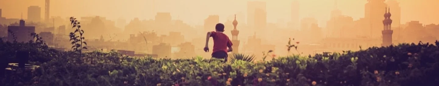 Fleeing from Turkeys