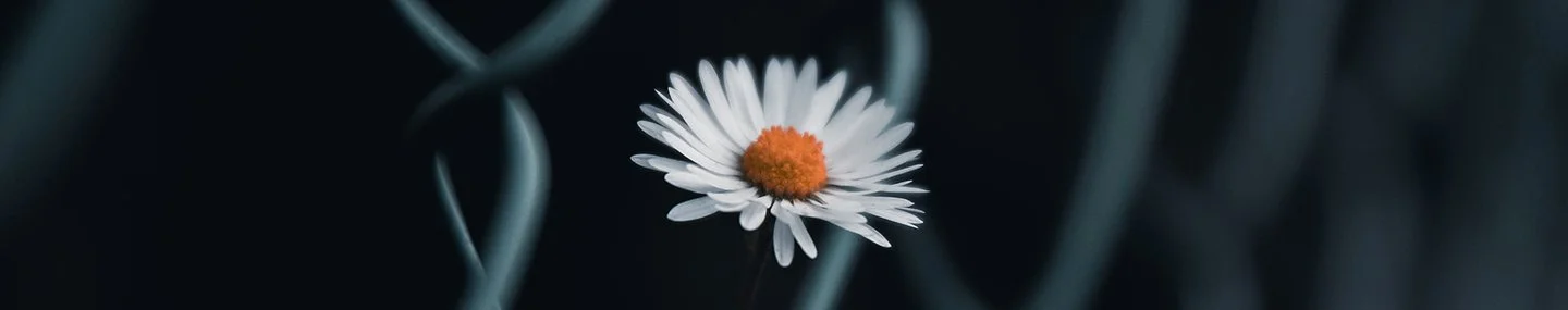 When Weakness Is Strength