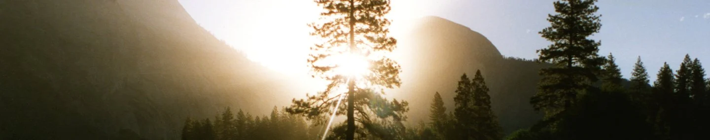 Opportunities to Shine 