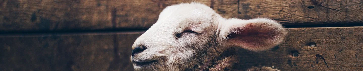 The Rest of Our Story