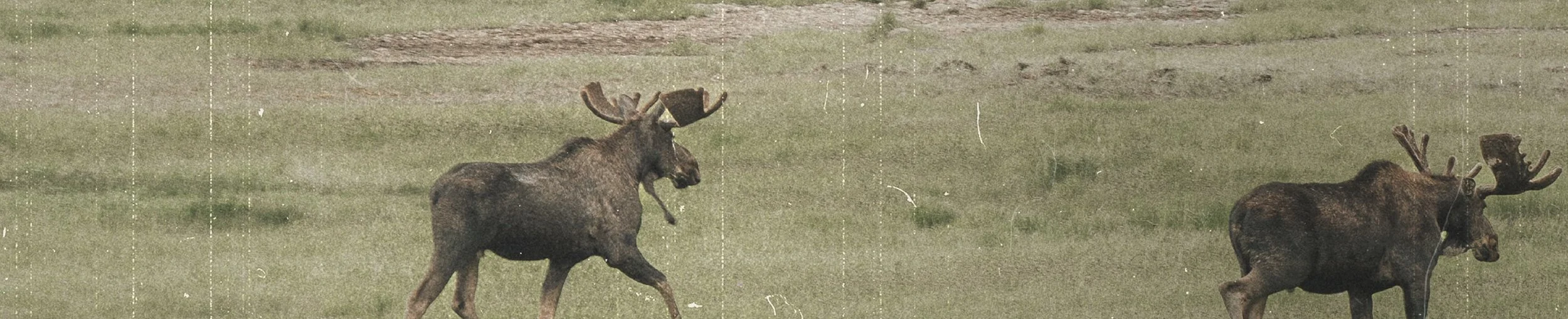 The Valley of Praise