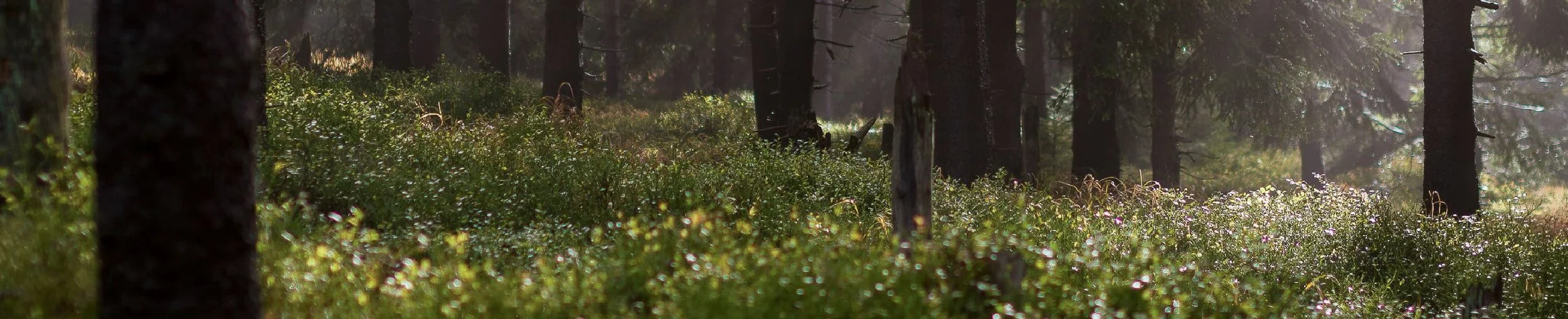 A New Beginning with God