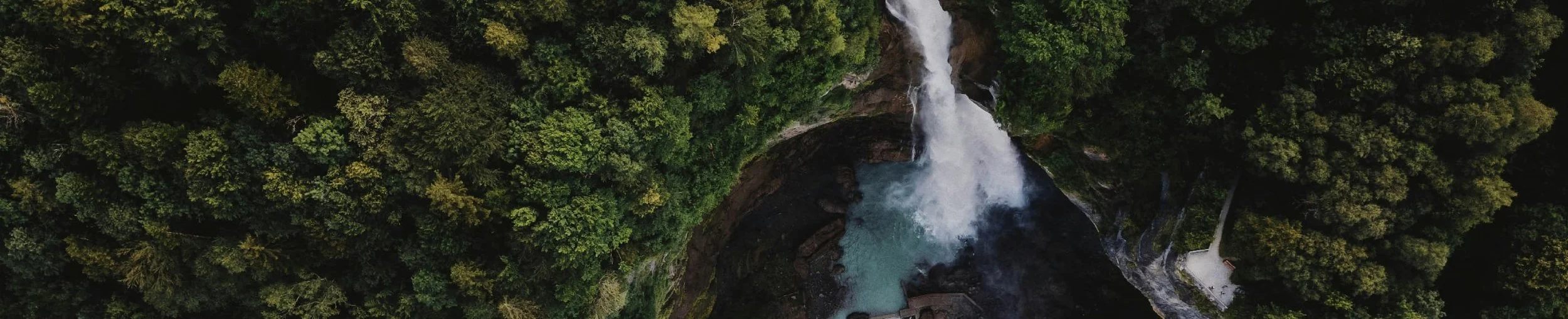 Blessed to Be a Blessing