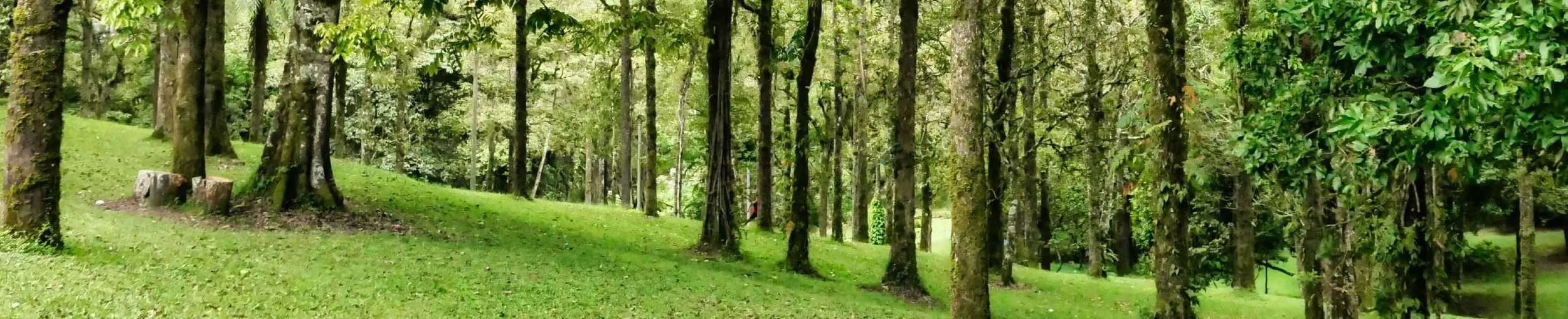 What Would You Ask Jesus?