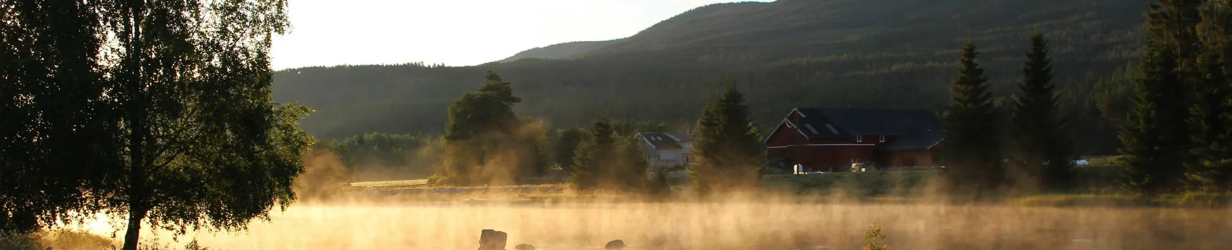 Christ’s Visual Paradox