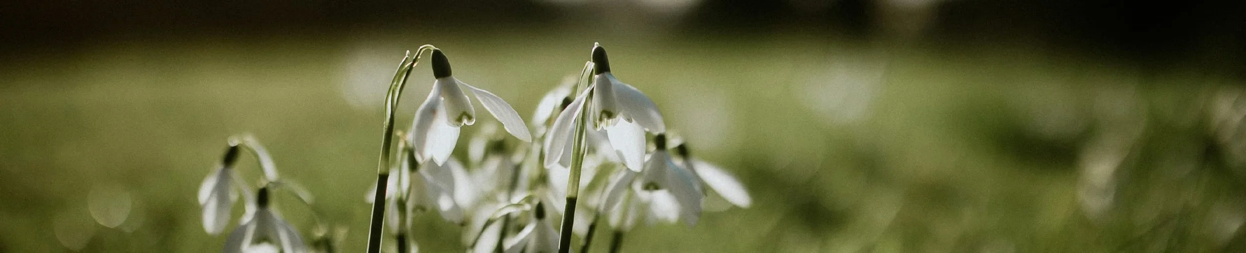 Lowly but Loved by God