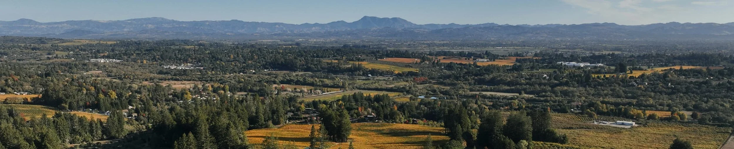 A Cultivated Life in Christ