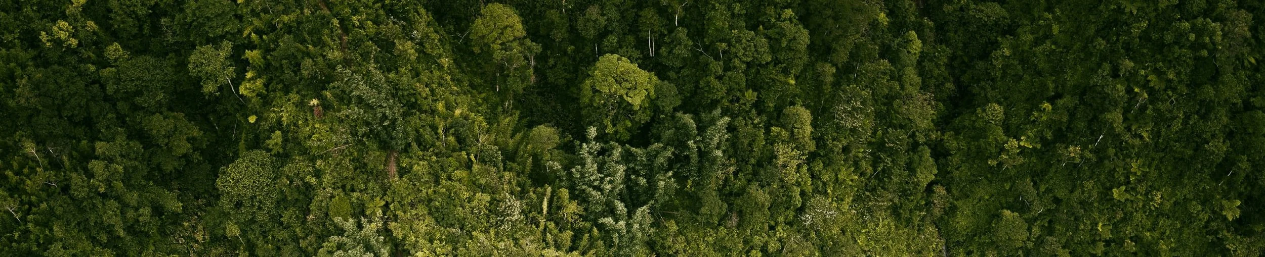 Not Irrelevant in God’s Eyes