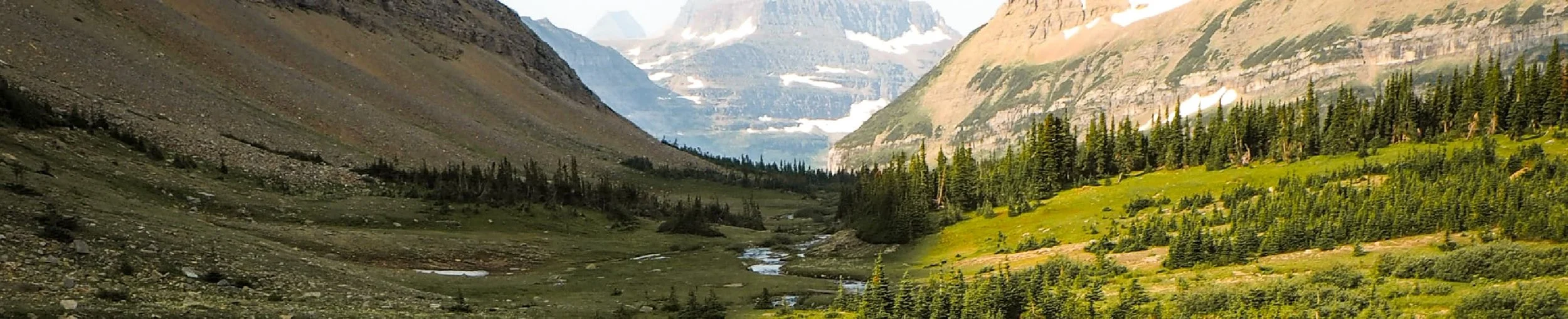 Never Overlooked by God