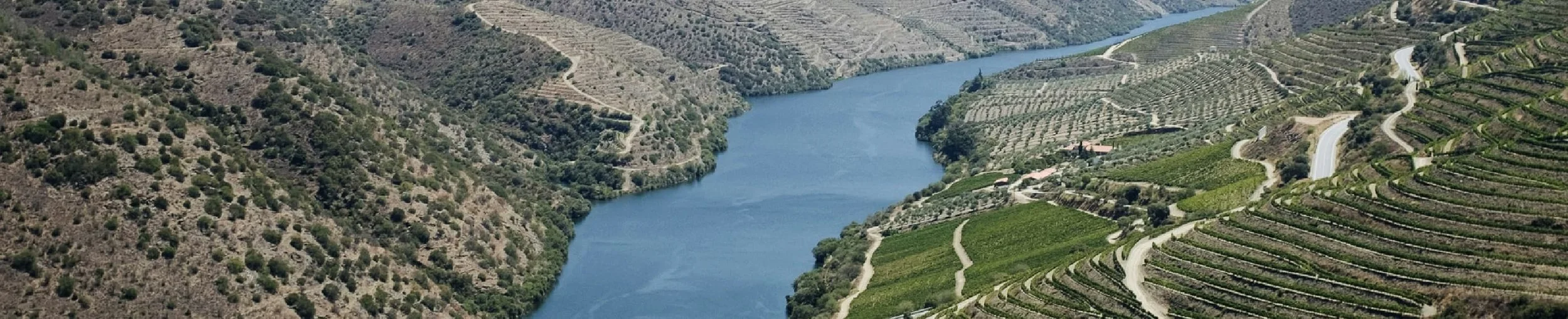 Planted by the Stream