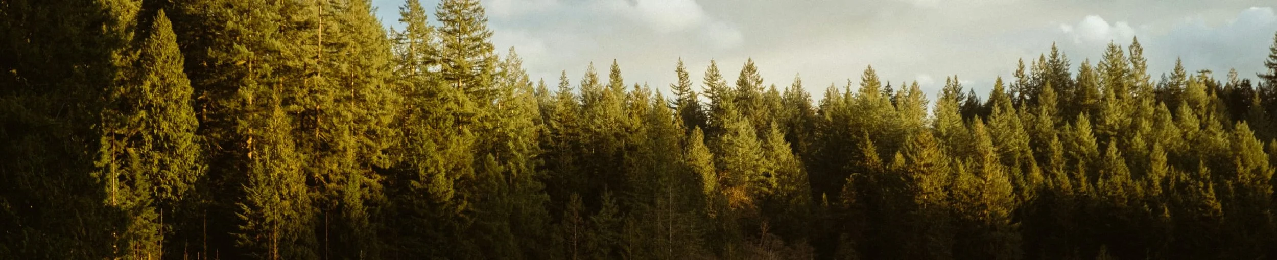 When They Don’t See