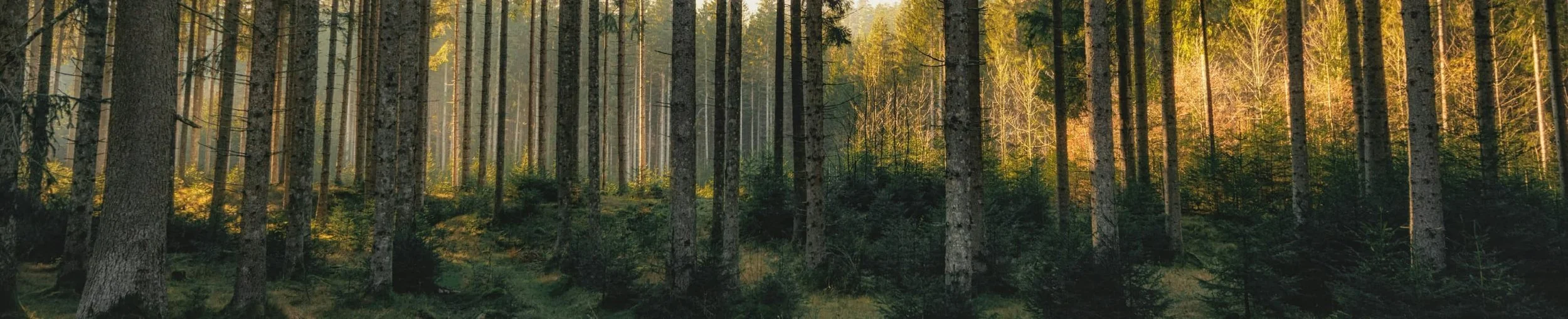 The Spirit’s Helpful Reminders