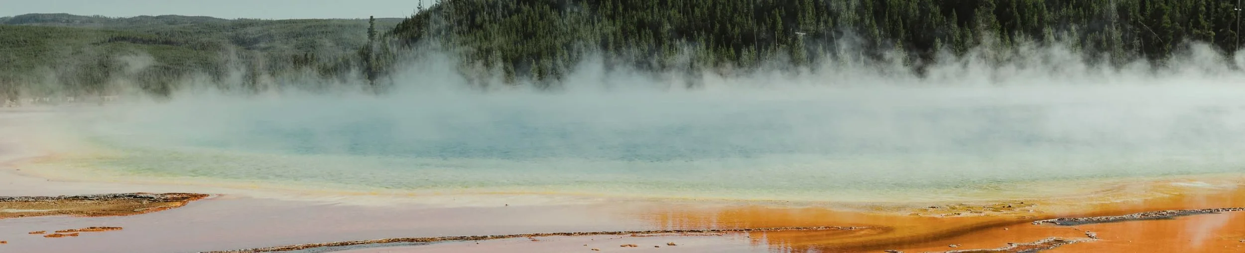 Fountains or Drains?