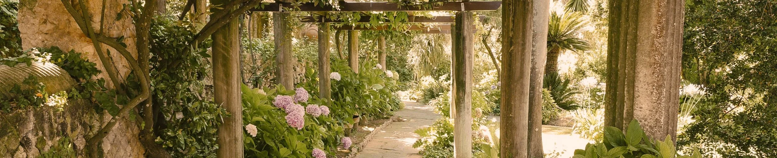 God’s Loving Deeds