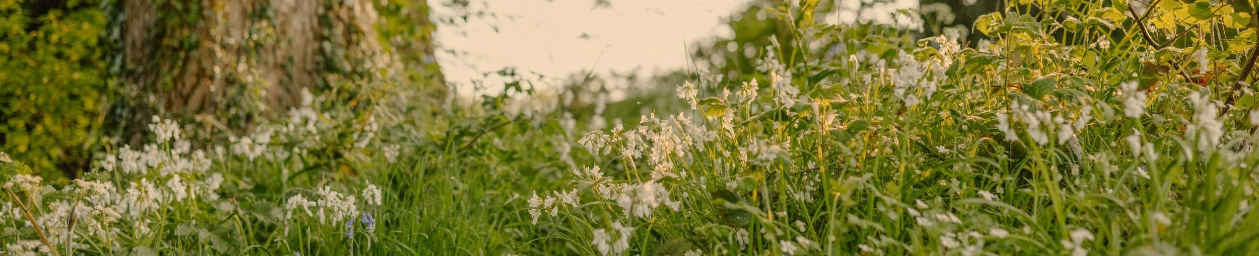 Accountability Matters