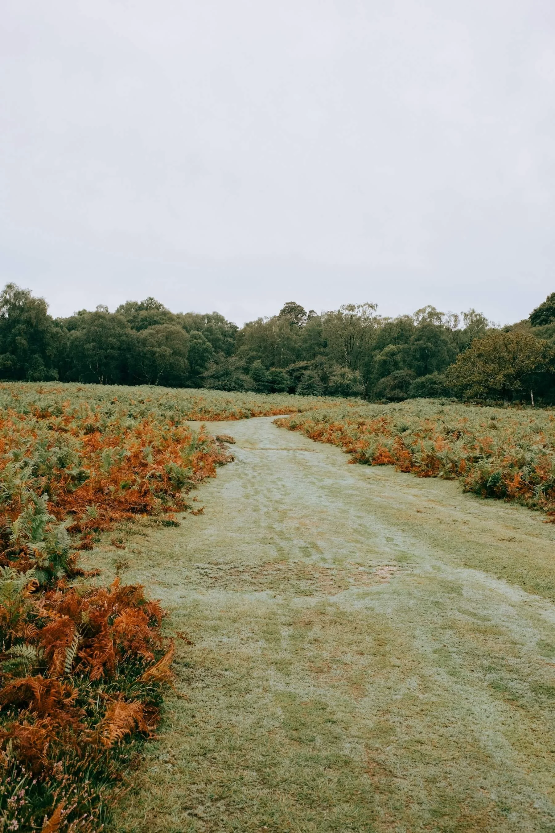 EMDR Trauma Healing Retreats Near Boston: Deep, Restorative Healing Beyond Weekly Therapy