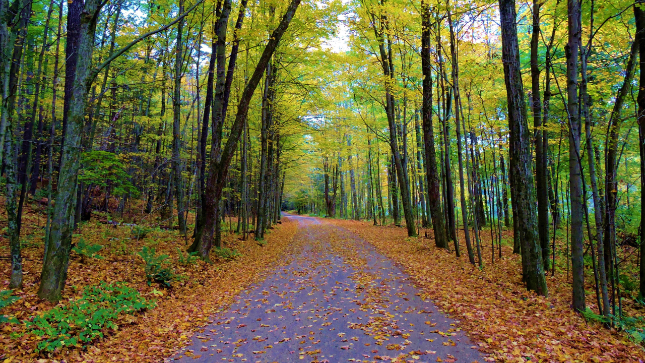 Berkshires landscape